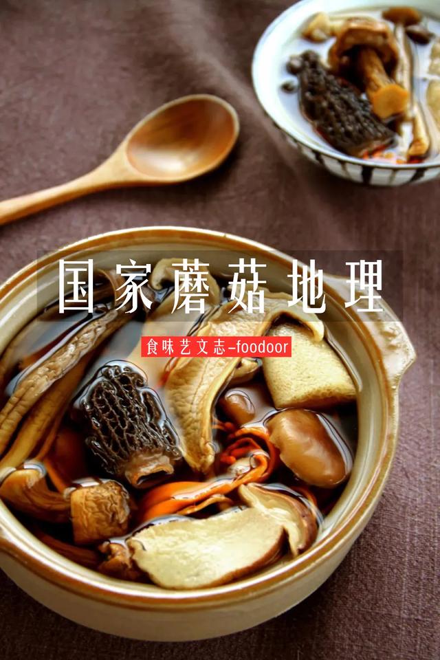國家蘑菇地理：中國哪里的蘑菇最好吃？