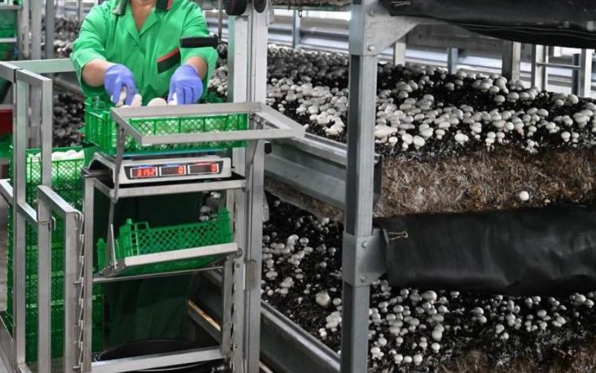 圖片關(guān)鍵詞