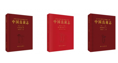 行業(yè)動(dòng)態(tài)