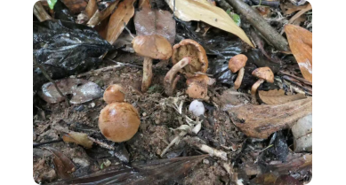 行業(yè)動(dòng)態(tài)